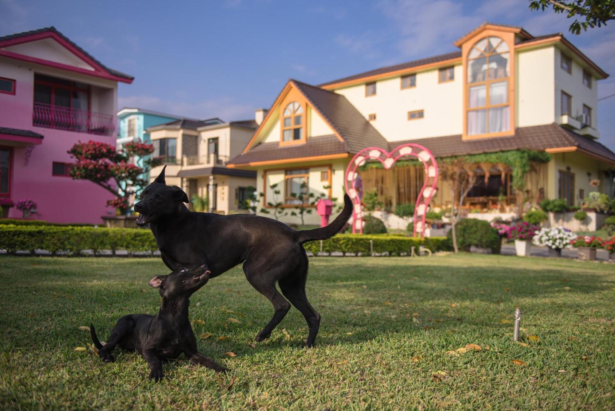Xinfu Traveler Inn Taiping  Exteriör bild