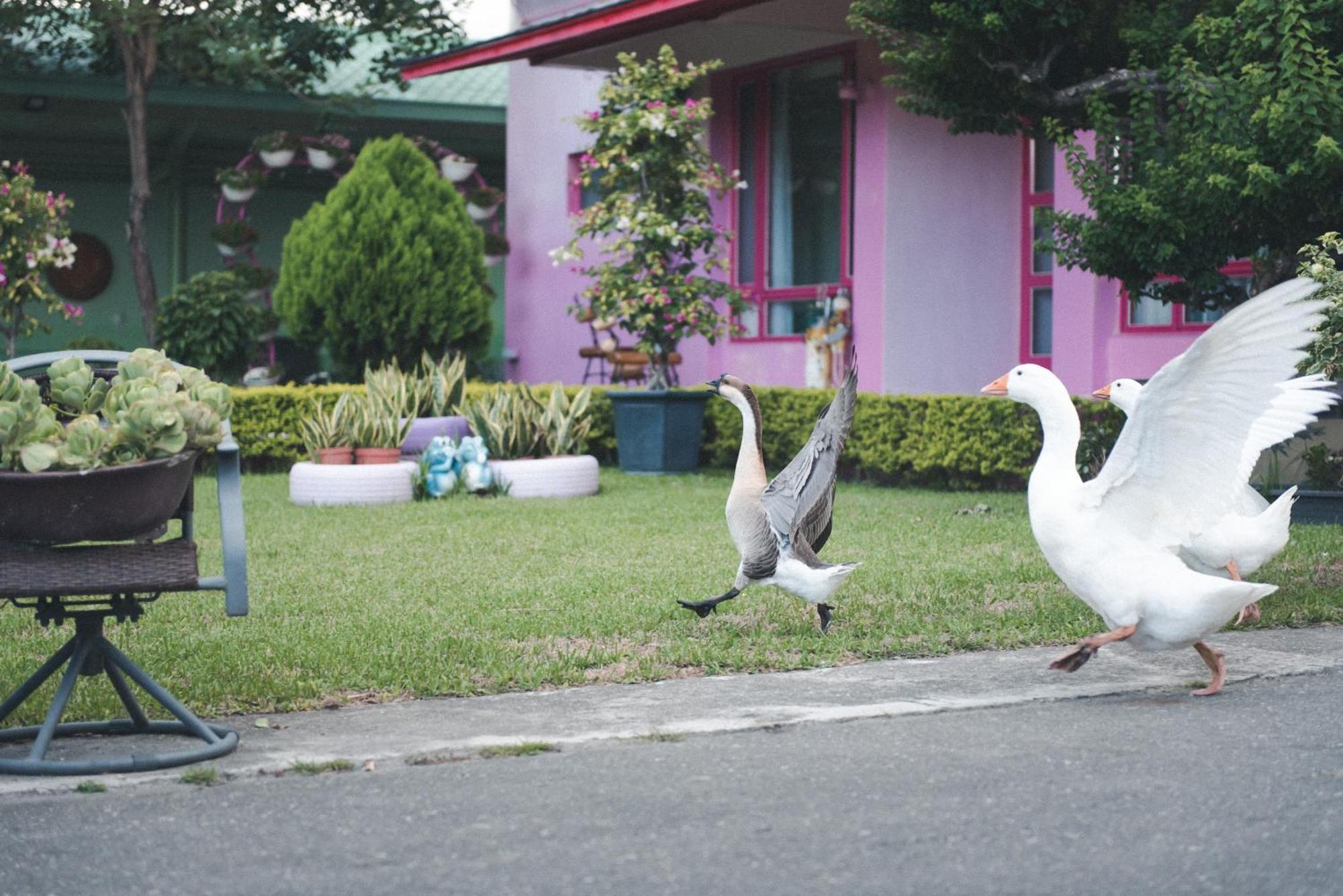 Xinfu Traveler Inn Taiping  Exteriör bild