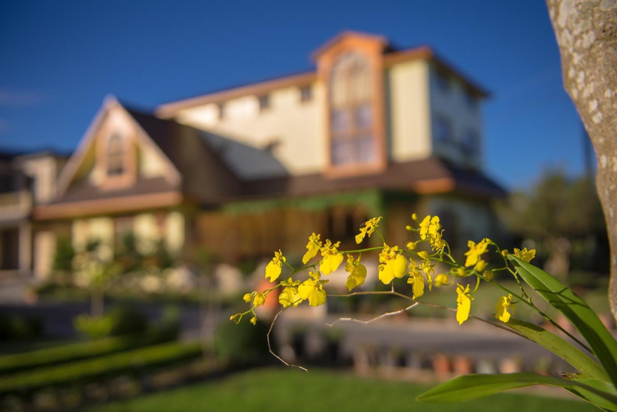 Xinfu Traveler Inn Taiping  Exteriör bild