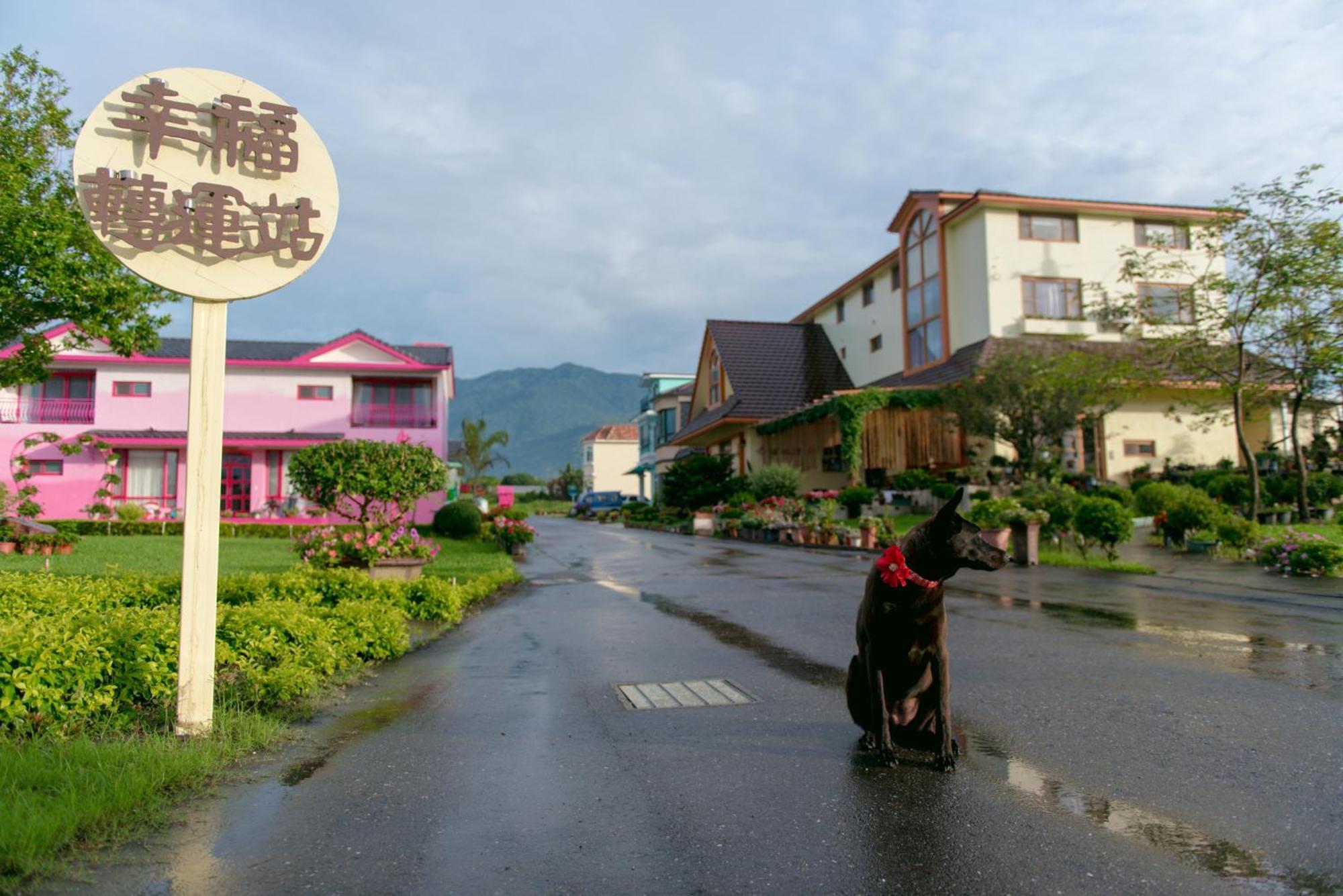 Xinfu Traveler Inn Taiping  Exteriör bild