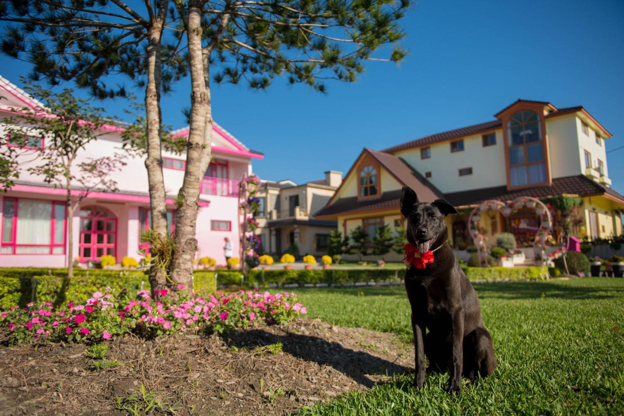 Xinfu Traveler Inn Taiping  Exteriör bild